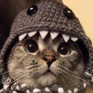 Преимущество 1